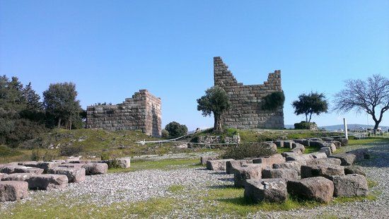 Myndus-Tor